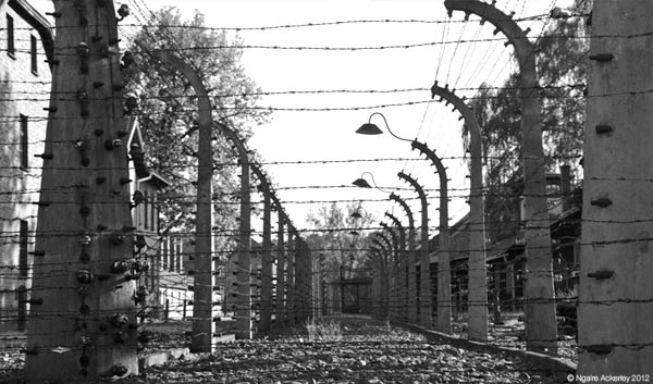 Auschwitz, Poland. Copyright of Ngaire Ackerley, 2012.