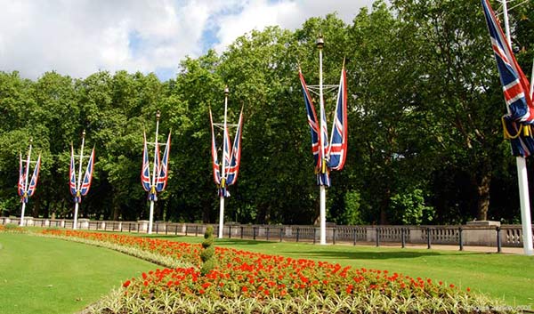 UK Flags and Flowers, copyright Ngaire Ackerley