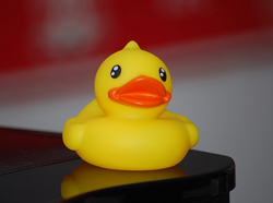 Rubber duck - common form of debugging code